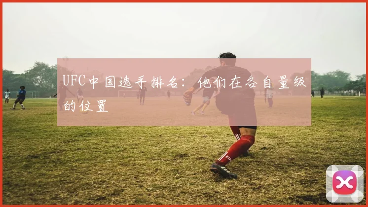 UFC中国选手排名:他们在各自量级的位置