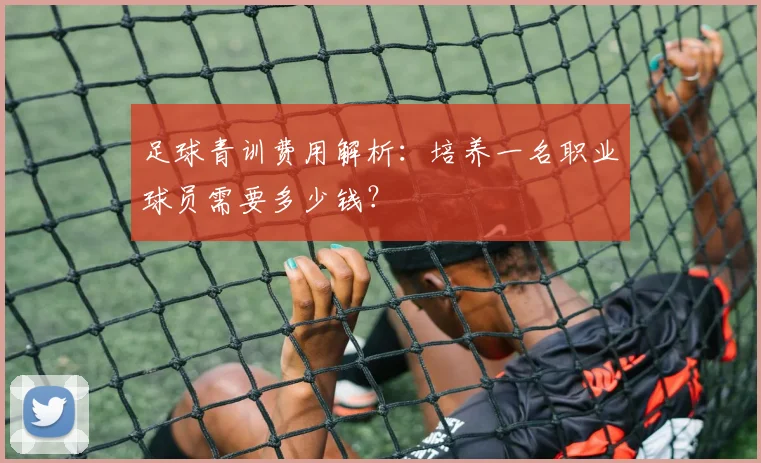 足球青训费用解析：培养一名职业球员需要多少钱？