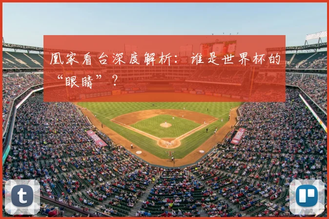 凰家看台深度解析:谁是世界杯的“眼睛”?