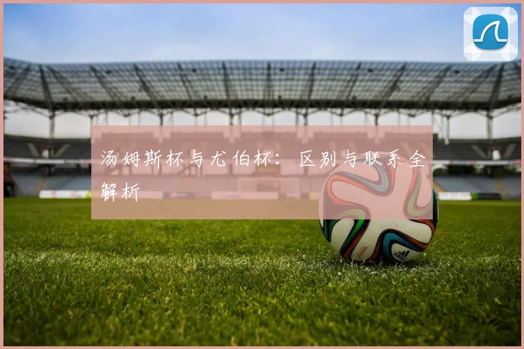 汤姆斯杯与尤伯杯:区别与联系全解析