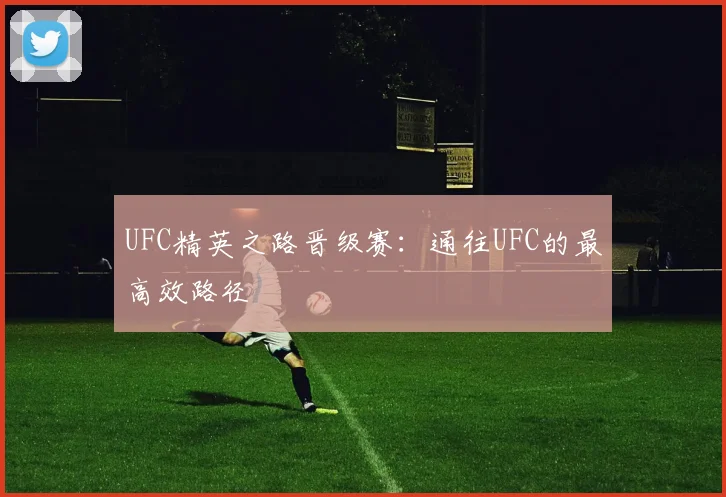 UFC精英之路晋级赛:通往UFC的最高效路径