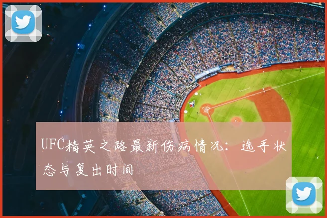 UFC精英之路最新伤病情况:选手状态与复出时间