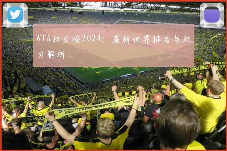 WTA积分榜2024：最新世界排名与积分解析
