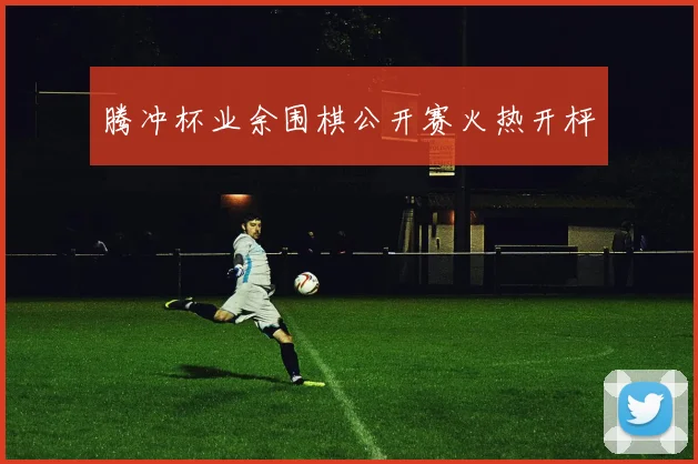 腾冲杯业余围棋公开赛火热开枰