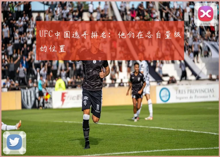 UFC中国选手排名：他们在各自量级的位置