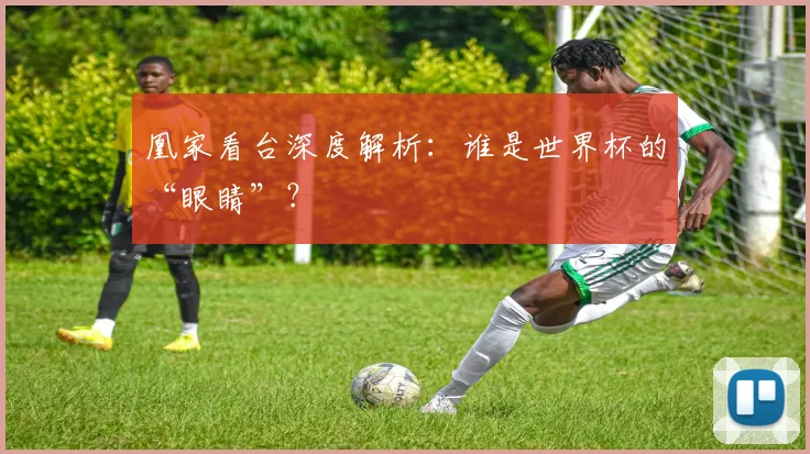 凰家看台深度解析:谁是世界杯的“眼睛”?
