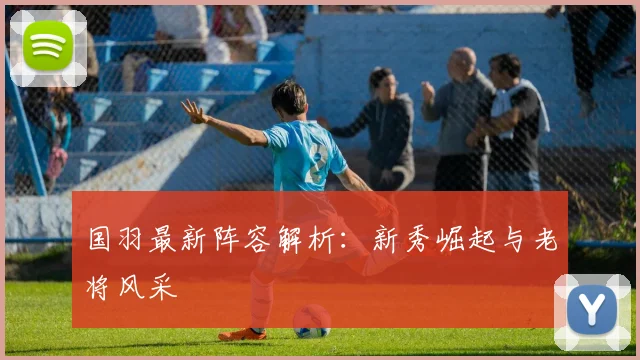 国羽最新阵容解析：新秀崛起与老将风采